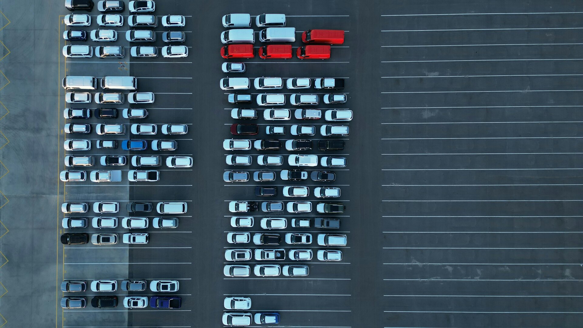 Company fleet vehicles lined up in a parking area